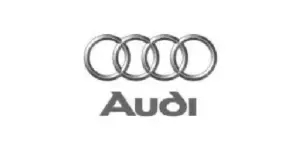 Home audi (1)