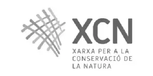 Home xcn (1)